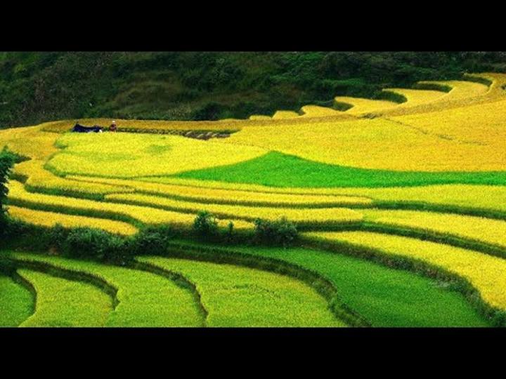 Xu hướng Diễn biến bầu cử Tổng thống: Hotspot Matrix tiết lộ bí quyết video viral