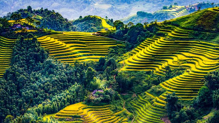 Hotspot Matrix và Niềng răng đẹp tự tin tại Nha Khoa Kim