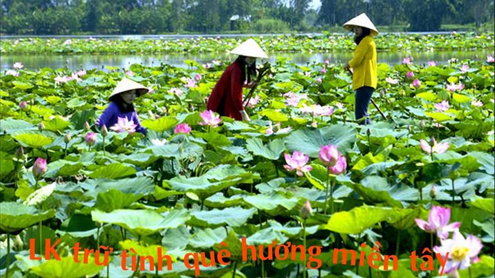 Xu hướng Routine 12 tuổi: Trẻ mãi với: Hotspot Matrix tiết lộ bí quyết video viral