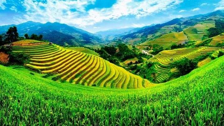 Hotspot Matrix: Kết nối Startup với Khách hàng Thương hiệu tiềm năng